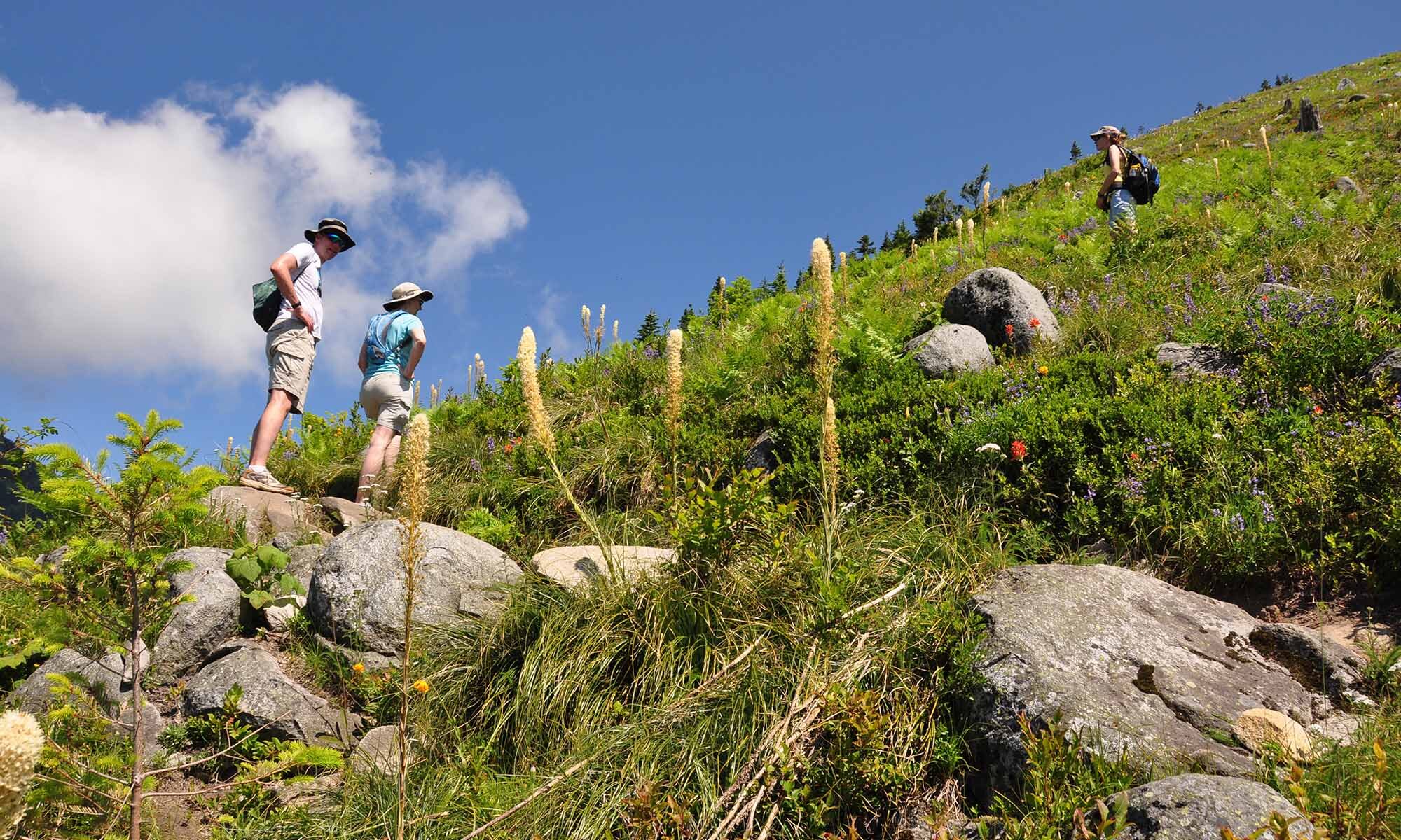 Hiking Mt Bendera True Light Church Youth